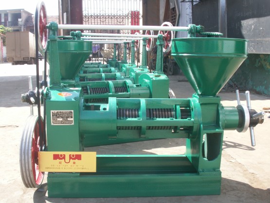 原料40公斤—650公斤螺旋榨油機選購哪家好？