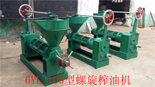 如何提高螺旋榨油機的出油率？